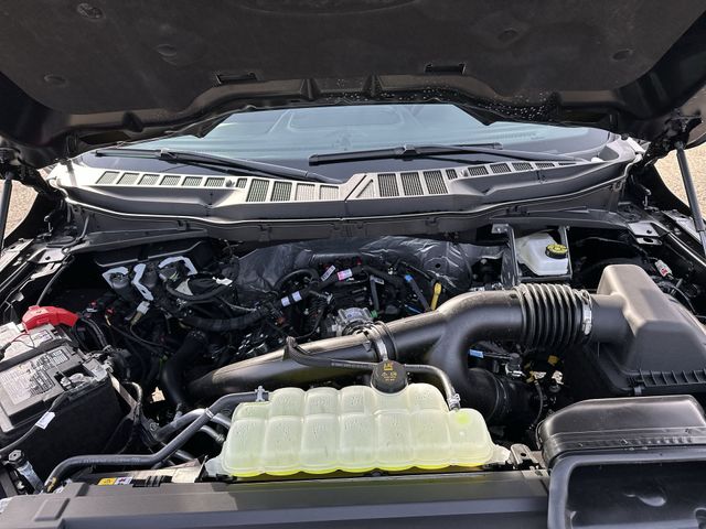 New 2026 Gray Ford XLT image 19