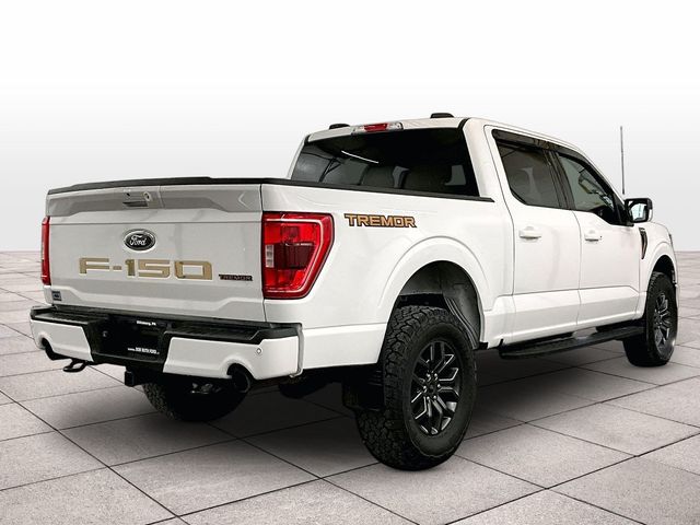 2023 Ford F-150 Tremor White at Bob Ruth Ford