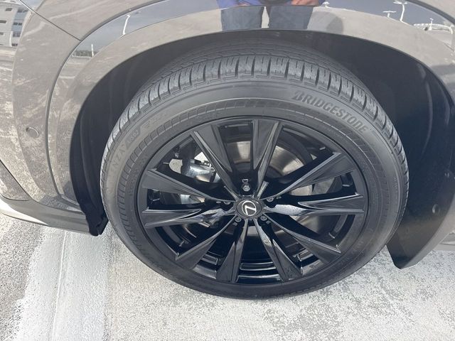 2025 Lexus NX - $56,588