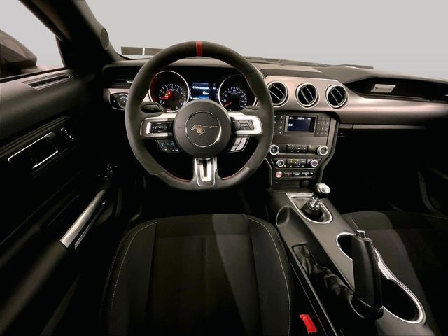 2019 Ford Mustang GT Gray at Grove City Ford