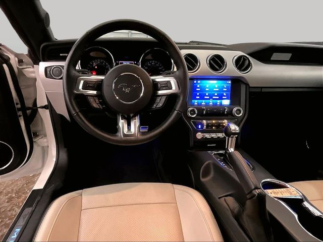 2017 Ford Mustang GT Premium White at Phil Fitts Ford