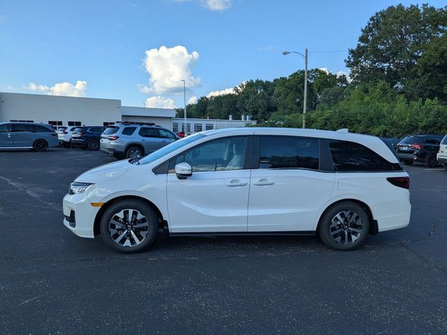 New 2026 Platinum White Pearl Honda EX-L image 9