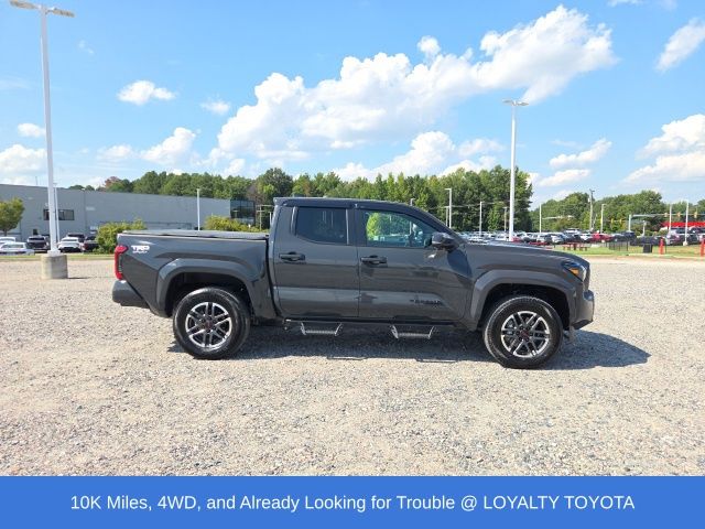 Used 2026 Toyota Tacoma Truck