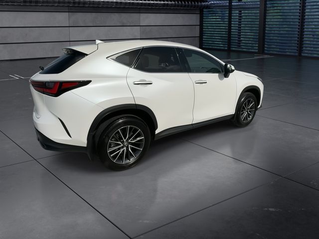 Used 2025 Lexus NX SUV