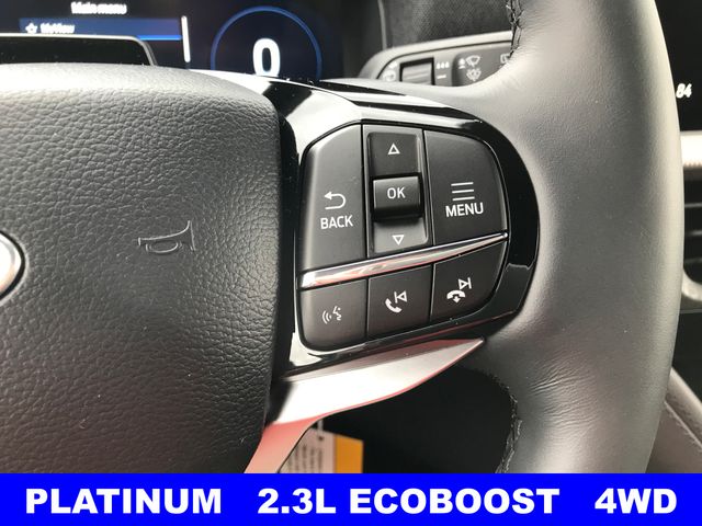 New 2026 Gray Ford Platinum image 12