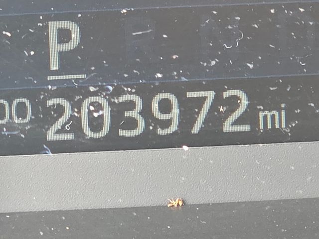 Used 2017 White Toyota 1794 image 23