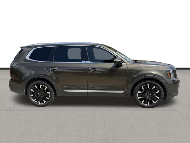 2023 Kia Telluride SX-Prestige - 3