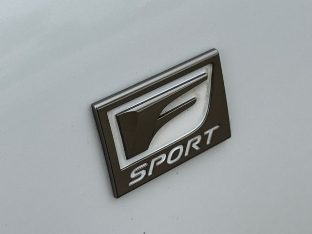 Used 2019 White Lexus 300 image 6