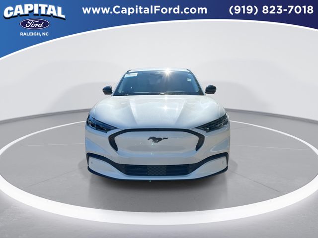 Used 2025 White Ford Premium image 3