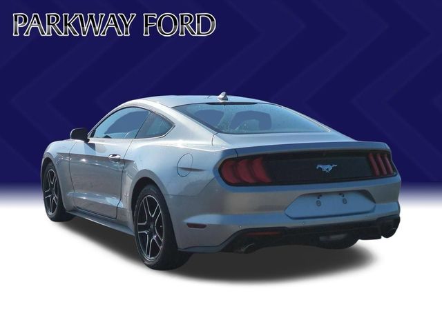 Used 2022 Silver Ford EcoBoost image 3
