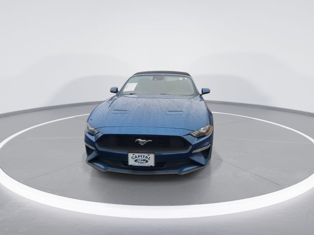 Used 2022 Blue Ford EcoBoost Premium image 3