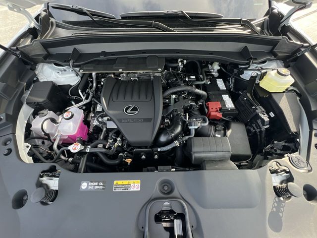 2024 Lexus Tx