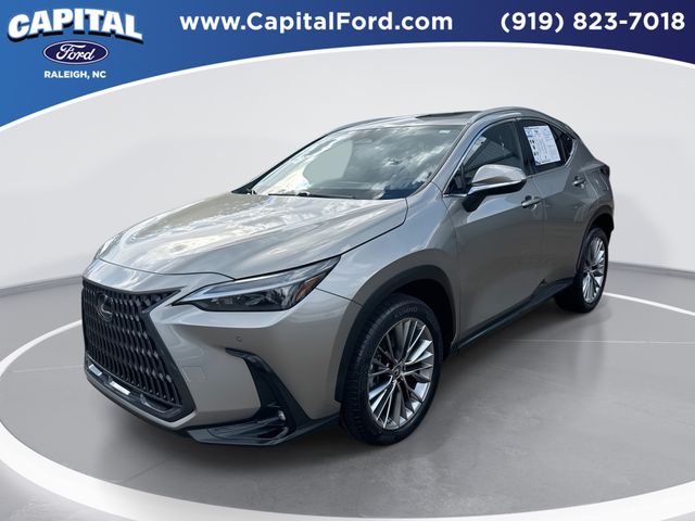 2022 Lexus NX Hybrid 350h's photo