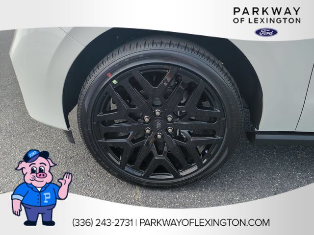 New 2026 White Ford Platinum image 10