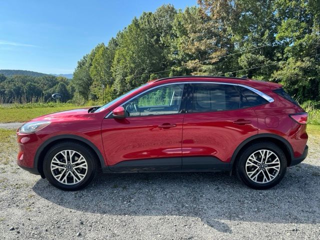 Used 2021 Red Ford SEL image 4