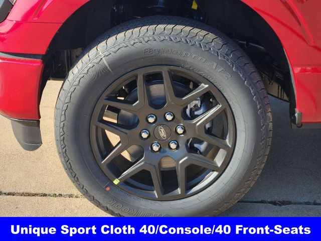 2025 Ford F-150 STX photo