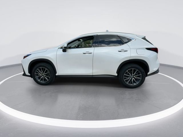 2025 Lexus NX - $37,498