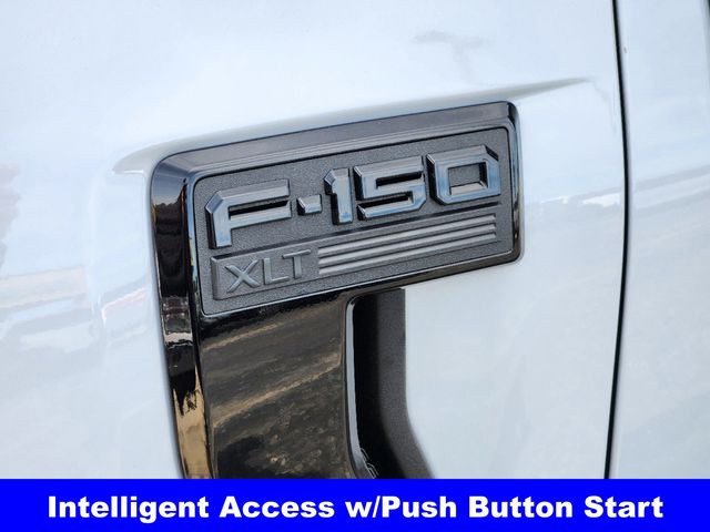 2025 Ford F-150 XLT photo