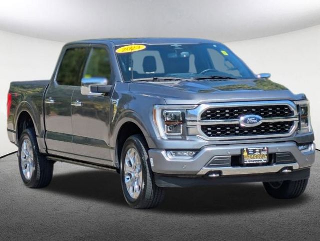 2023 Ford F-150 Platinum 2