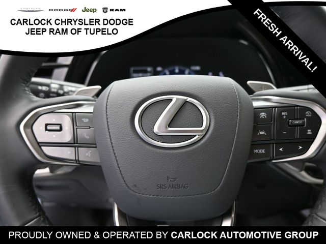 2024 Lexus RX 350 13