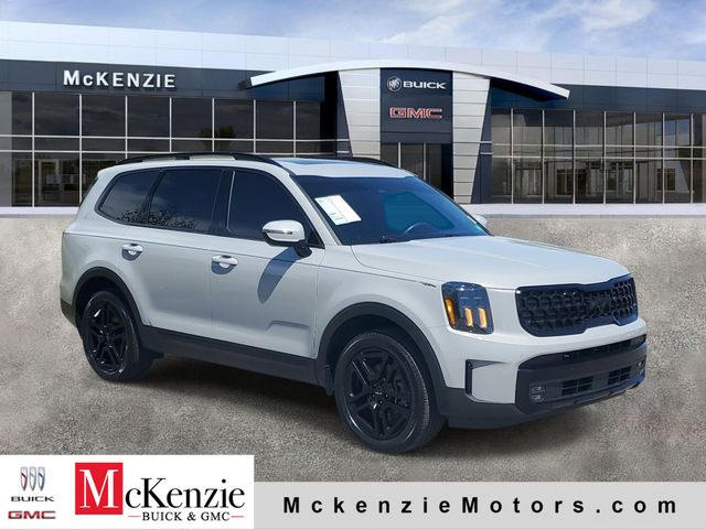 Wolf Gray 2024 Kia Telluride SX X-Line AWD SUV / Crossover All-Wheel Drive 8-Speed Automatic