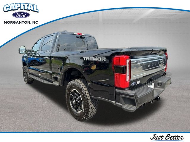 New 2026 Black Ford Platinum image 5