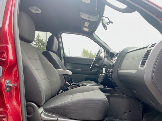 Used 2009 Ford Escape For Sale in Muncie, IN