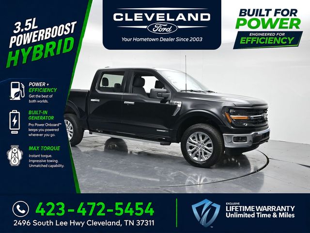 Black Metallic 2026 Ford F-150 Pickup Truck Four-Wheel Drive Automatic