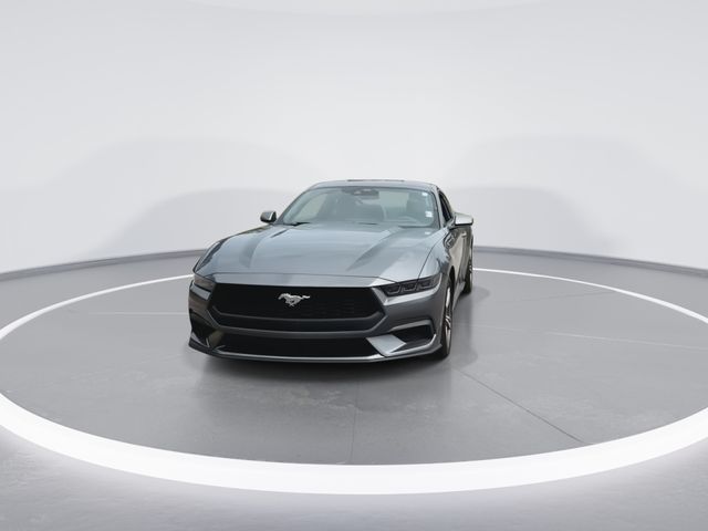 Used 2025 Gray Ford EcoBoost image 4