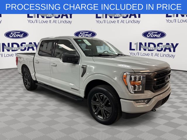 Avalanche 2023 Ford F-150 XLT SuperCrew 4WD Pickup Truck Four-Wheel Drive Automatic