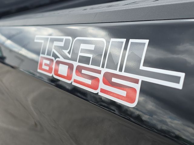 2025 Chevrolet Silverado 1500 Custom Trail Boss:168117B