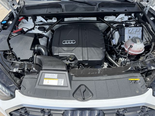 2023 Audi Q5 45 S line Prestige White at Genesis of Spring