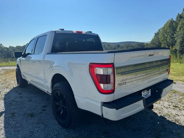 Used 2021 White Ford Limited image 5