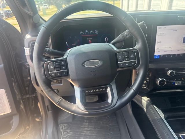 2026 Agate Black Metallic Ford Super Duty F-250 SRW Platinum 4X4 Truck