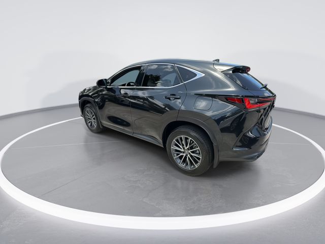 Used 2025 Lexus NX SUV