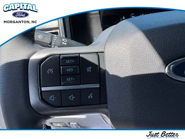 New 2026 Blue Ford Lariat image 18