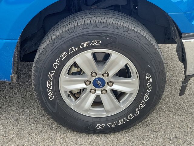 Used 2019 Blue Ford XL image 8