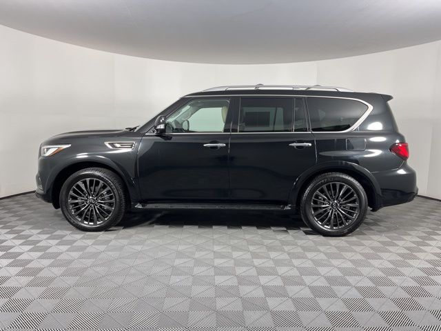 2024 INFINITI QX80 Premium Select 6