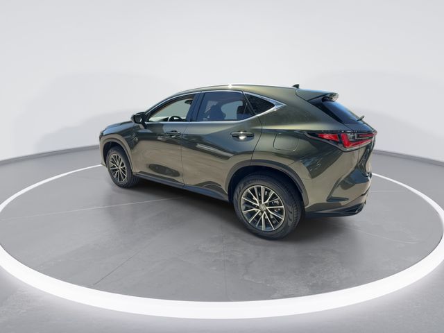 2025 Lexus NX - $40,998