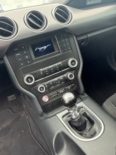 2019 Ford Mustang GT Gray at Grove City Ford