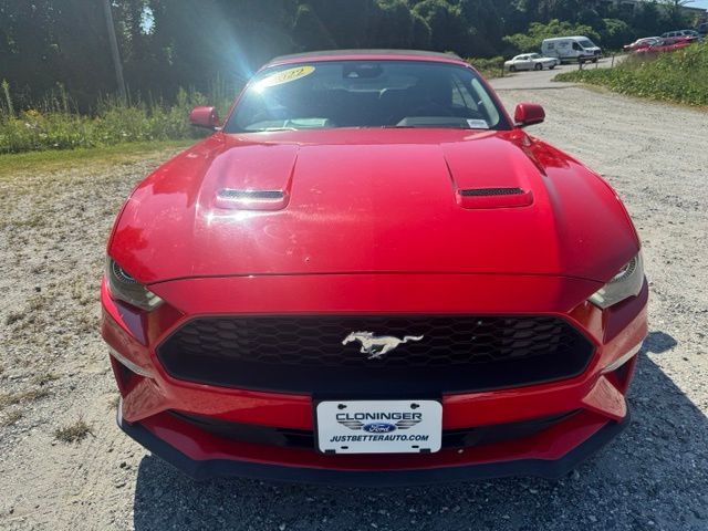 Used 2022 Red Ford EcoBoost Premium image 2