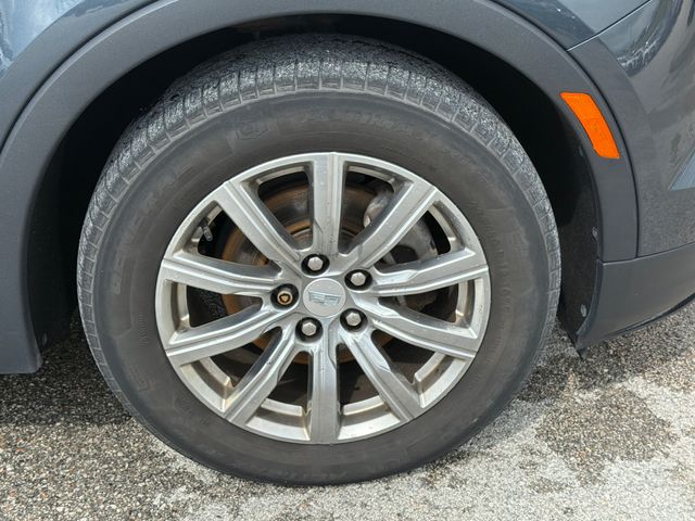 Photo 41