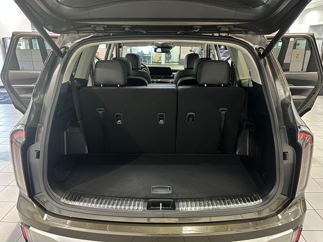 2024 Kia Telluride SX Green at Matthews Motors of Wilmington