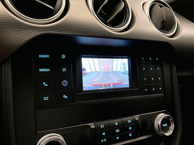 2019 Ford Mustang GT Red at Grove City Ford