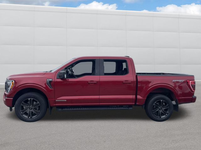 2021 Ford F-150 XLT 2