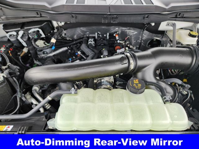 2025 Ford F-150 XLT photo