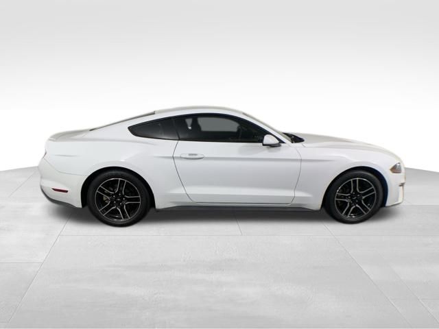 2019 Ford Mustang EcoBoost 7