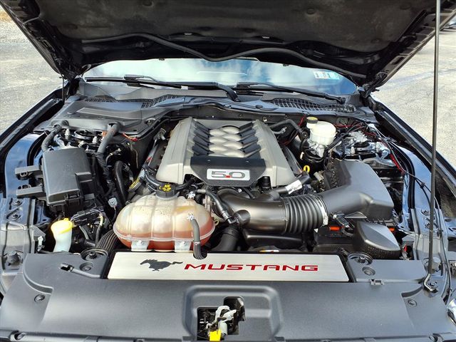 Used 2017 Black Ford GT Premium image 7