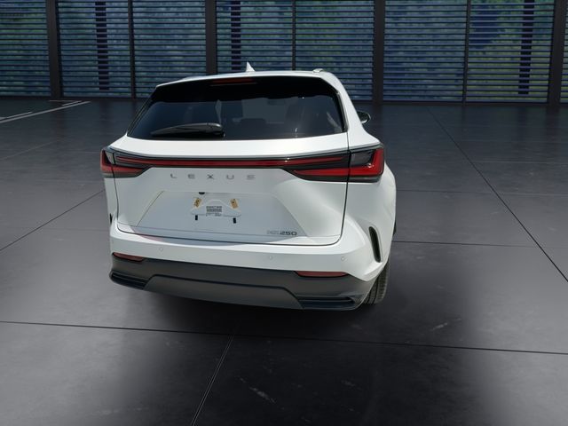 Used 2025 Lexus NX SUV