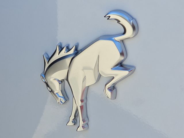 New 2025 White Ford Base image 10